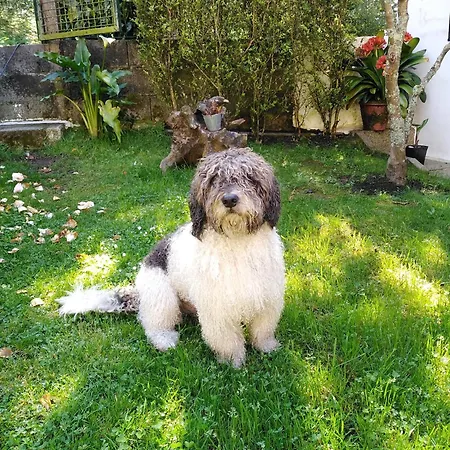 홈스테이 Paradise In