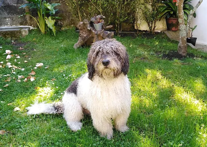 홈스테이 Paradise In